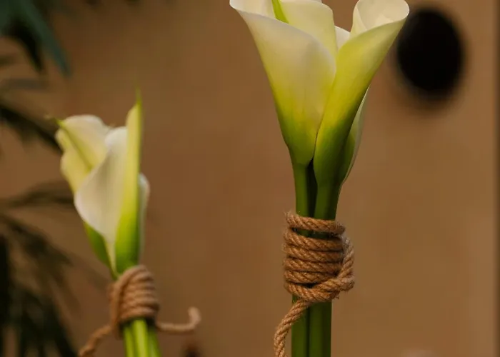 Hotel Copernicus Kraków